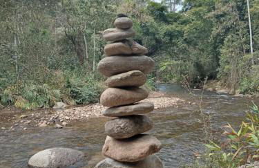 Chácara das Araucárias - Foto 63