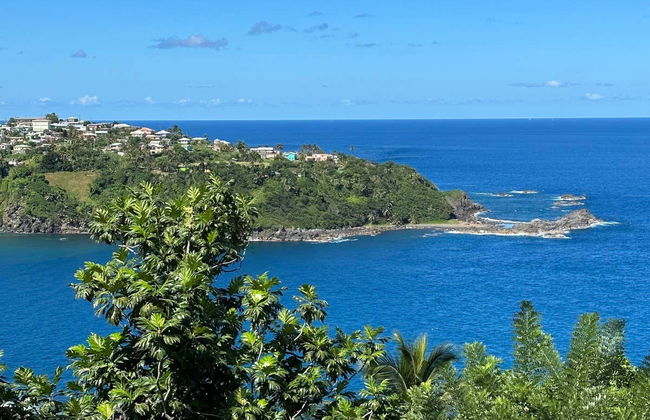 Excursión a Owia Salt Pond - Foto 6