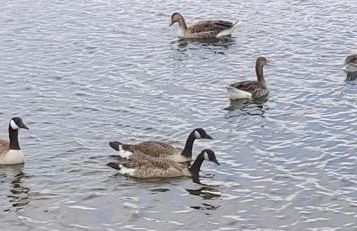 Amble Holiday Home - Photo 12