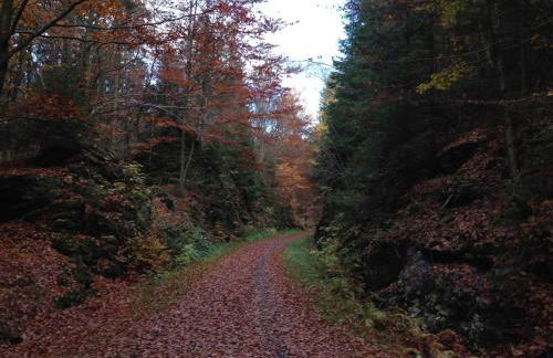 Ferienhaus in Tannesberg for 4 Personen - Foto 31