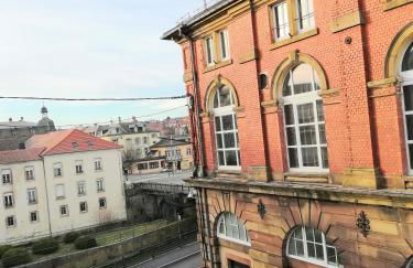 De 2 à 6 personnes - Le Street'Art - Sarrebourg Centre - Gare à 500m - A 20 minutes de Center Parc et Parc Animalier Sainte-Croix - Netflix - Wifi - Foto 16