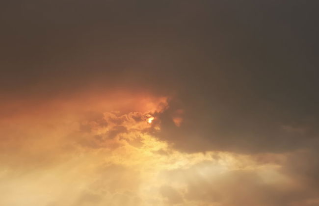 Country House in the Su Gologone Area 30 km From Cala Gonone 5 km From Oliena - Photo 77