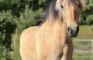 Ferienwohnung “Mount Meißner” - Foto 13