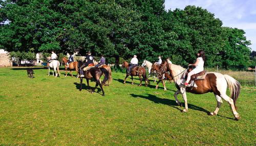 Casa Cazoleiro - Foto 3