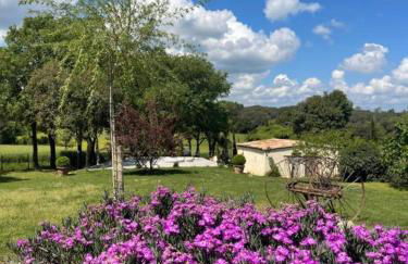 Más Figueres - Foto 44