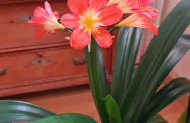 Ferienwohnung Denecke - Foto 8