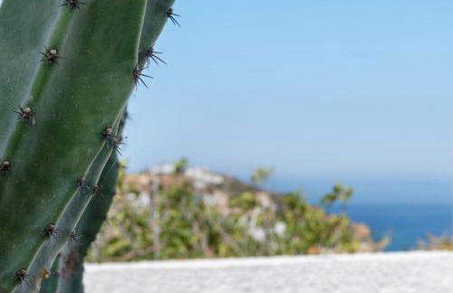 Cactus Guesthouse, Κίνι Συρος - Photo 41