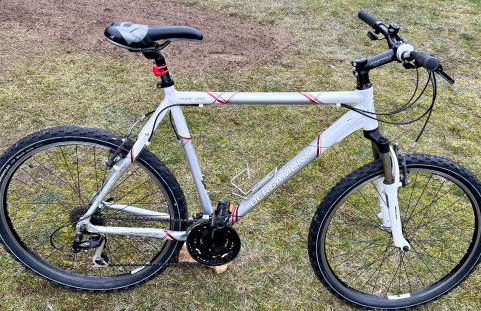 Ferienhaus am Dachsberg - Foto 34