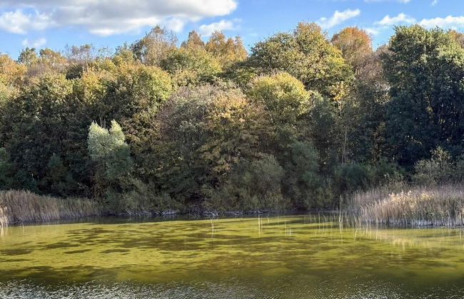 6 Person Holiday Home in Borup - Foto 11