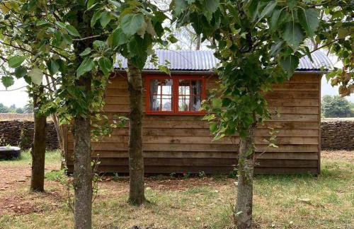 Secluded off grid Shepherd's Hut - Photo 11