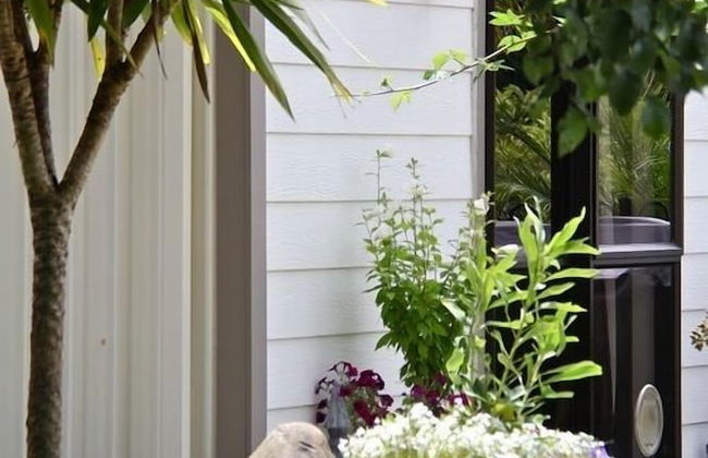 Cambridge Coach House - Foto 29