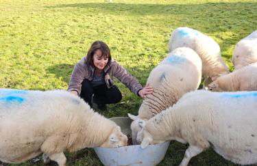 Rural Escape and Dog Friendly - Photo 28