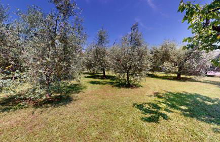 Villa Fiorita a Puegnago - BGL - Foto 44