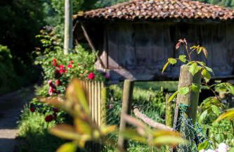 Casa Clarita - Foto 5