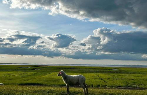 AAR Nordsee Appartement - Foto 7