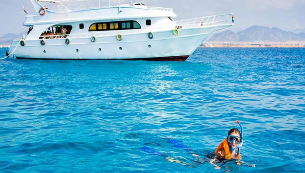 Île Tiran en bateau - Photo 4