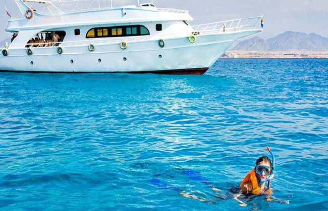 Ilha de Tiran de Barco - Foto 4