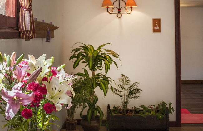 Finca Vista Bonita - Foto 3