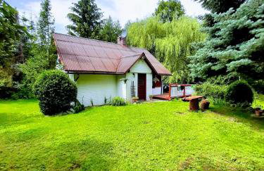 Niezapominajka - Foto 1