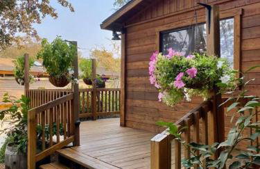 B-B Ranch Cottage~Heart of Gold Country~*HOT TUB* - Foto 23