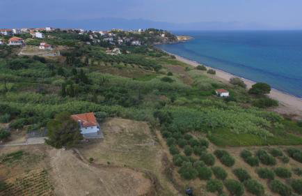 Margarita House - Photo 77