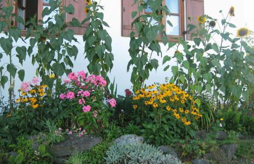 Familienapartment in Ingenried - Photo 18