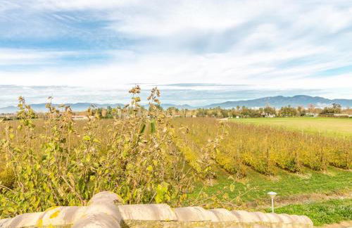 Casa de Vacaciones con Piscina, Jardín, A.A, Barbacoa, Wifi y Parking, Cerca de la Playa - ES-89-78 - Foto 29
