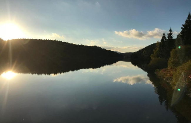 Quaint Holiday Home in Elbingerode near Forest - Foto 36