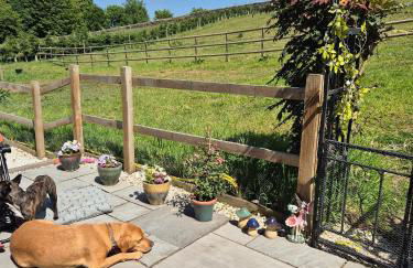 Luxury Peak District stay set in private land with horses and country Pub - Dog Friendly - Foto 13