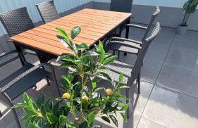 Nisay Home - 4 Room Apartment - N1 - Foto 31