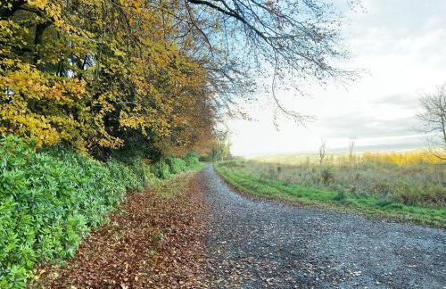 The Old School House 1-Uk32061 - Foto 28