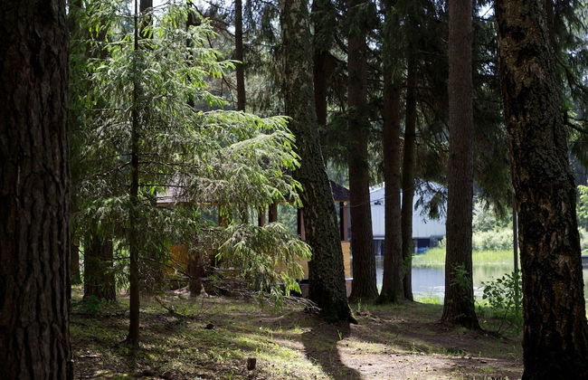 Flora Park Country Club - Foto 31