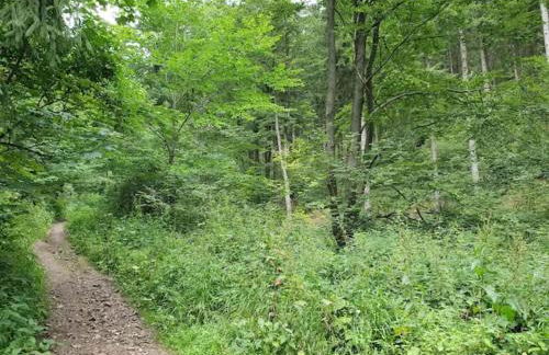 Charming Holiday Residence in the Harz With Wonderful Excursion Opportunities - Foto 108