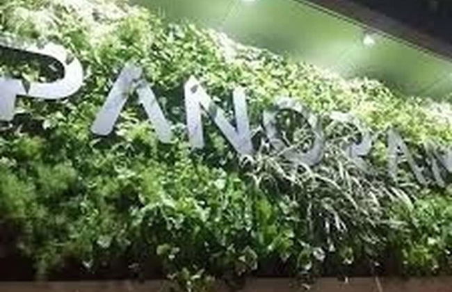 Goistay Discover Unparalleled Elegance in the Clouds A Luxury Apartment in th - Foto 11