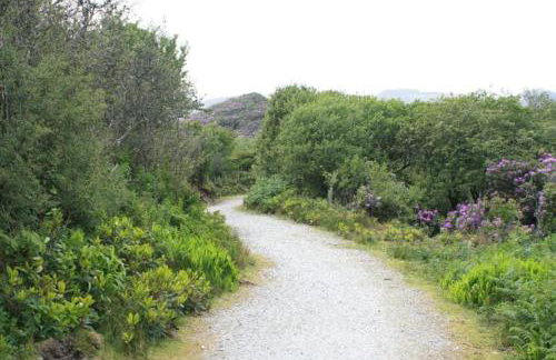 Home from Home self catering for 2 - Foto 23