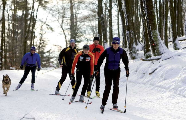 Garden-view Apartment in Heringhausen Lake City Centre - Photo 64