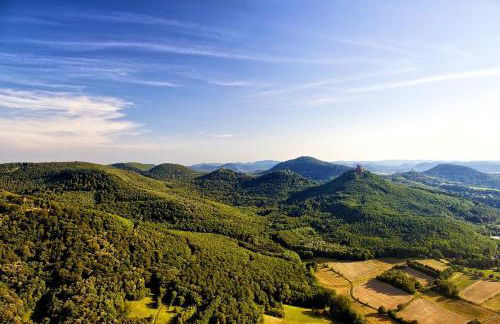 Schöne Ferienwohnung mitten im Pfälzerwaldgebiet - Foto 53