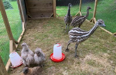 Wild Coastal Retreat at Troed Y Rhiw Aberporth, West Wales - Foto 39