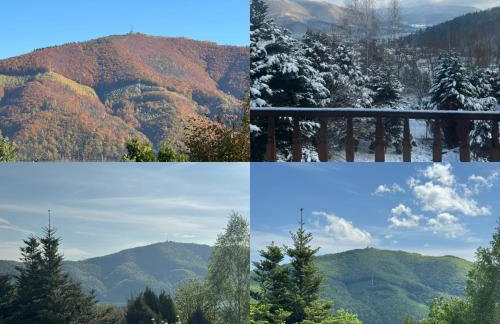 Dom w górach Saganówka Beskidy - Foto 29