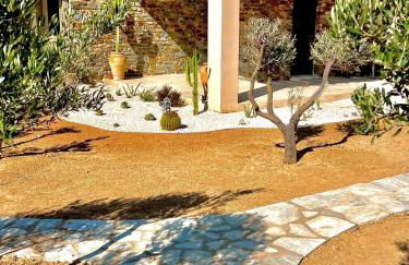 Ampelonas Antiparos - Foto 34