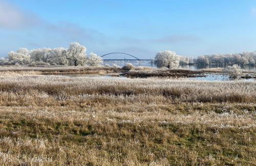 elbe511ferienzuhause im parkähnlichen Garten mit Teich - Foto 52