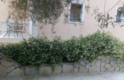 Marketos Apartments - Foto 71