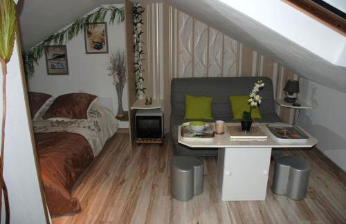 Maison entière 5 chambres à 10mn à pied de l'entrée principale du Circuit 24h Du Mans - Foto 29