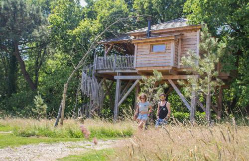 Dihan Evasion - Foto 25