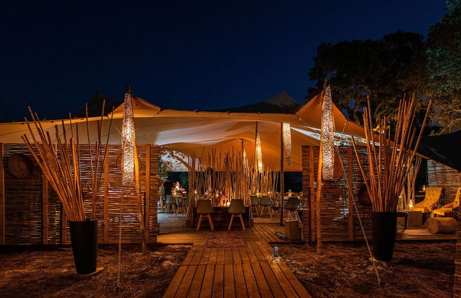 Kruger Untamed - Tshokwane River Camp - Photo 45