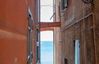 La Fernandina - Foto 40