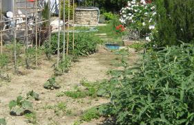 La Residence da Caterina - Photo 76