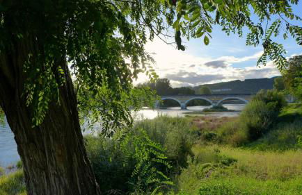 Rue Bertrand de Got - Foto 36