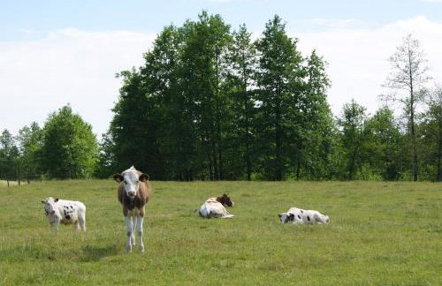 Kurpiowska Chatka - Foto 58
