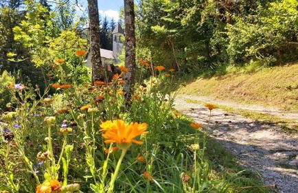 AGRITURISMO BORGO DAMOS - Foto 35